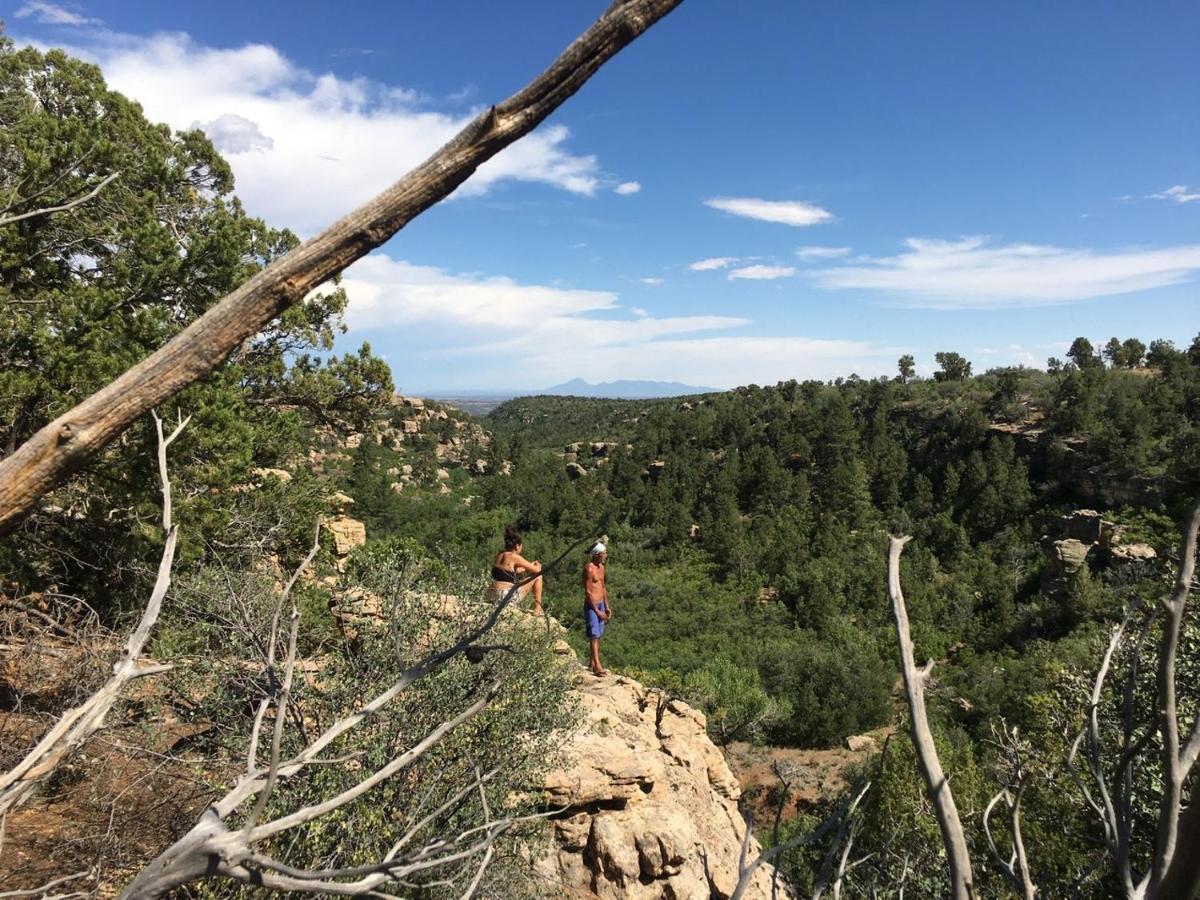 Indian Canyon Ranch Verdure المظهر الخارجي الصورة
