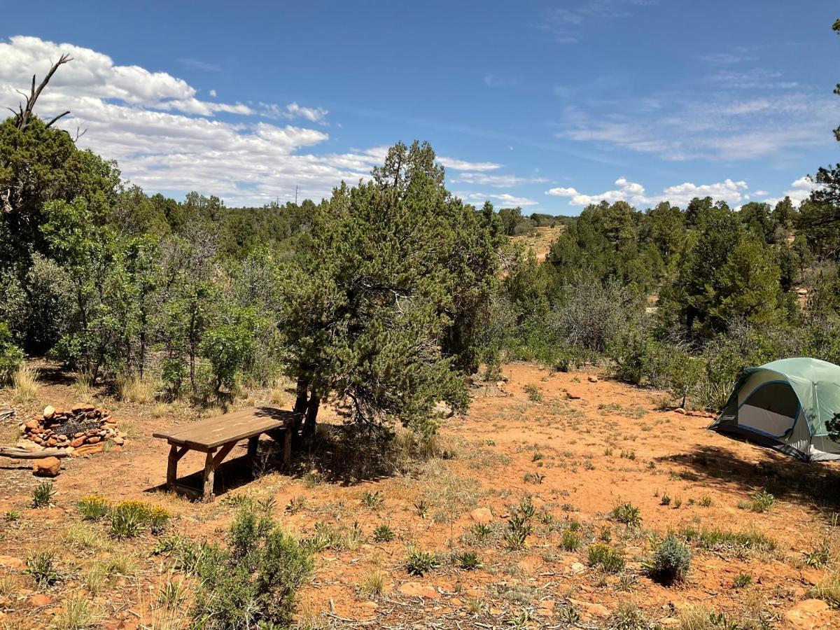 Indian Canyon Ranch Verdure المظهر الخارجي الصورة